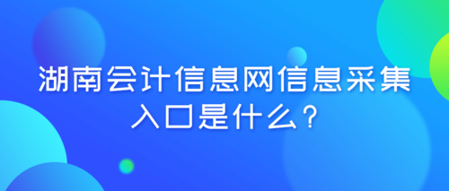湖南会计信息网信息采集入口是什么？.png