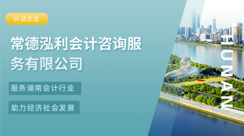 常德泓利会计咨询服务有限公司.png